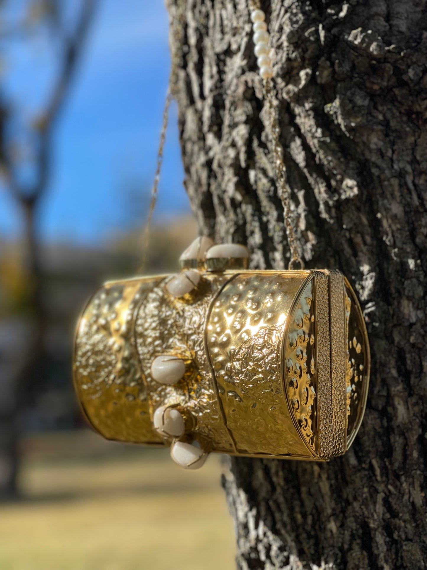 Zarish Barrel Clutch