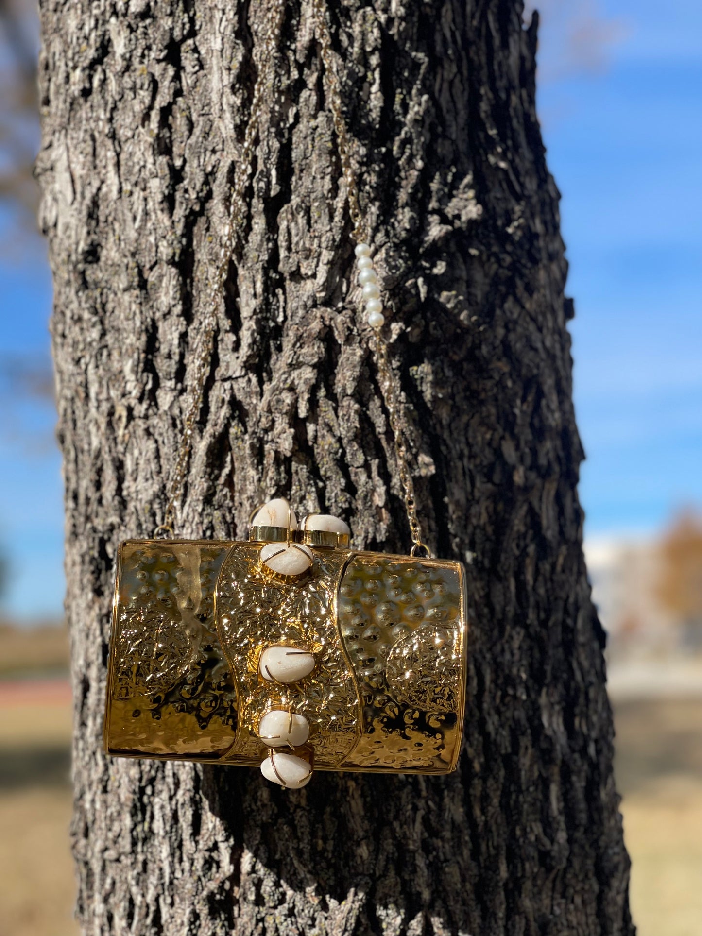 Zarish Barrel Clutch